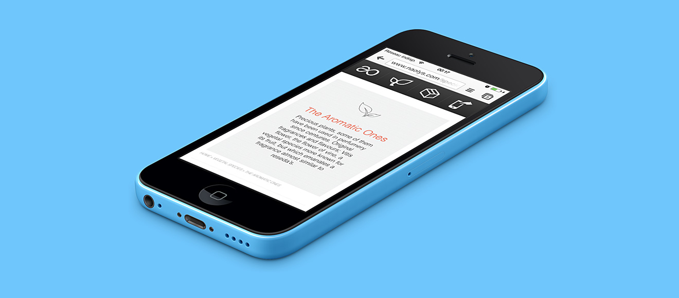 site web responsive de naolys sur un smartphone