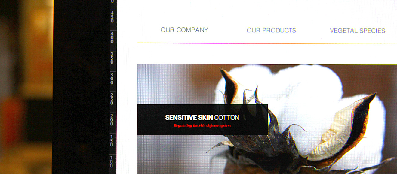 focus sur le site web de naolys