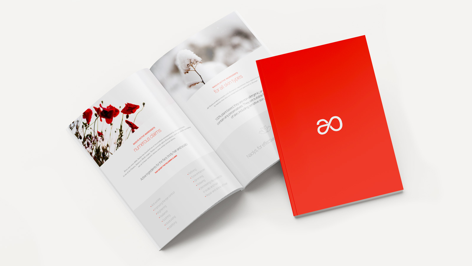 nouvelle identité visuelle de naolys