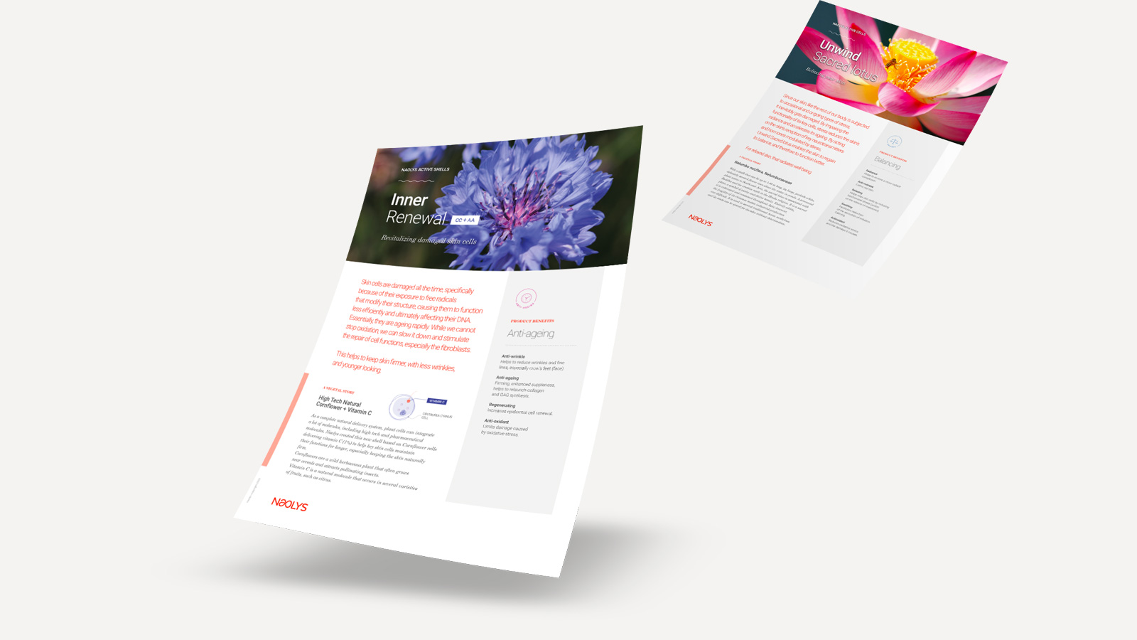 nouvelle identité visuelle de naolys