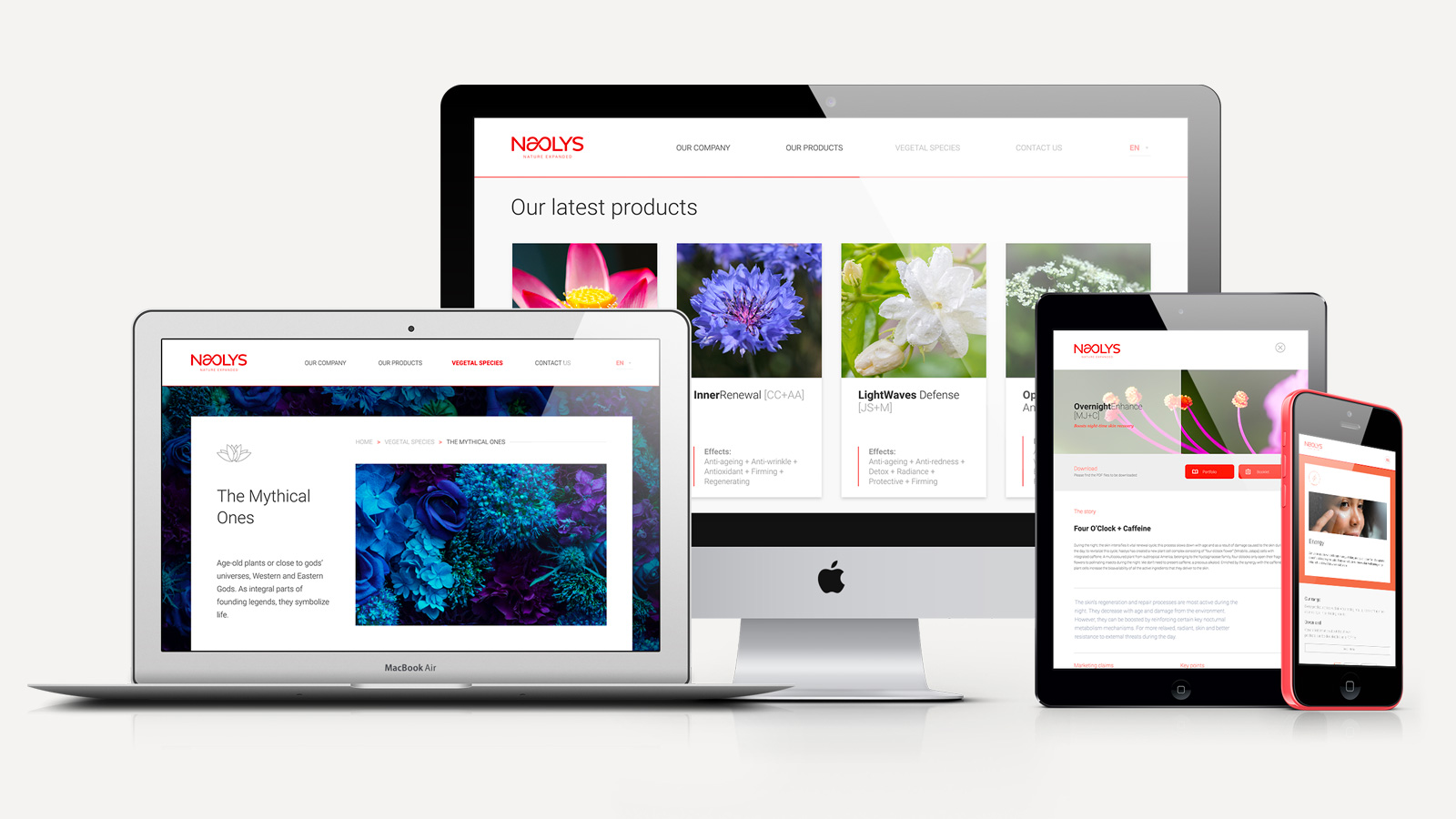 nouvelle identité visuelle de naolys